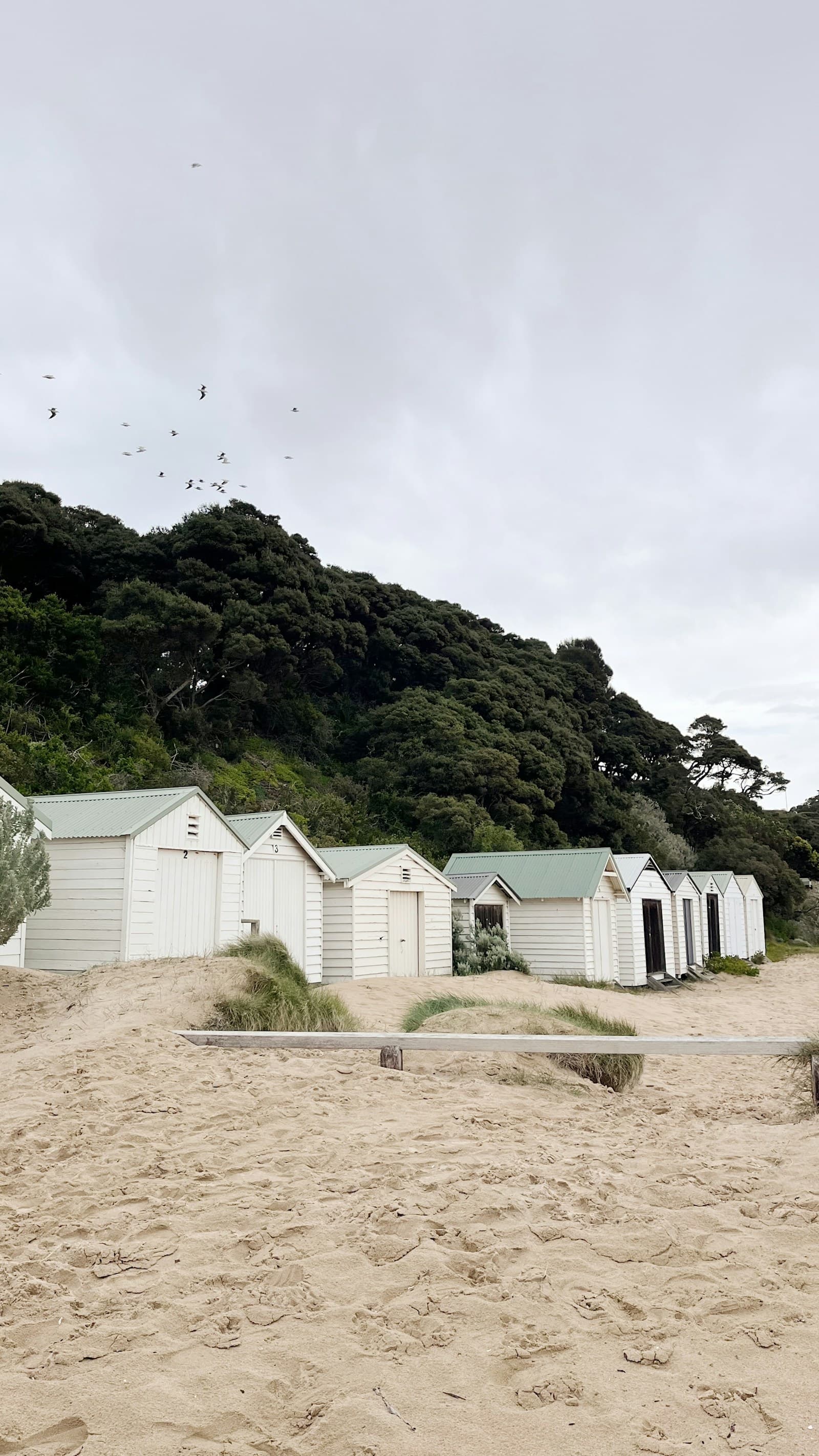 Colourful beach boxes on the Mornington Peninsula